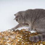 Nachhaltige Finanzplanung: Investieren mit Umwelt- und Sozialbewusstsein